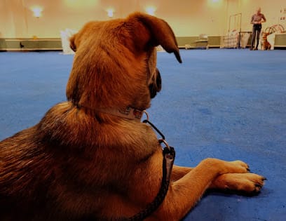 Af1qipmiyd wss 96fv6zezqdjqo3wtl9x3ilkbwmn7dw408 h315 k no.jpeg