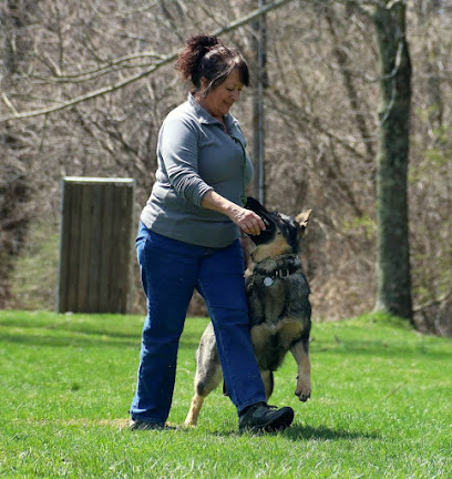 Af1qipnhehjwr8cwtsb0y9 csbatybce8ogwnmcp4hyw408 h432 k no.jpeg