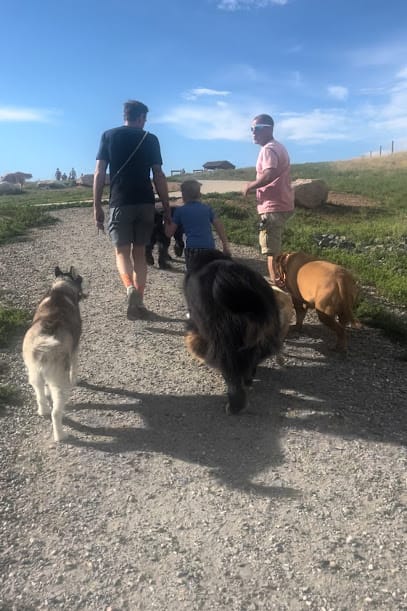 Af1qipoibjkxb2y6pejppooyxrjtbb26txxieuorfjtbw408 h611 k no.jpeg