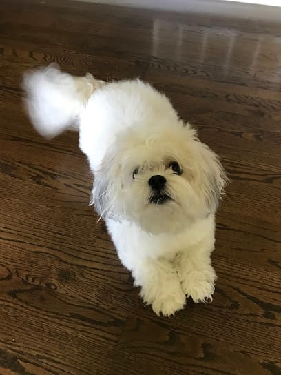 Af1qipoqz85qhnuyagreciioxd7y7gdi7mrtouykfzovw408 h544 k no.jpeg