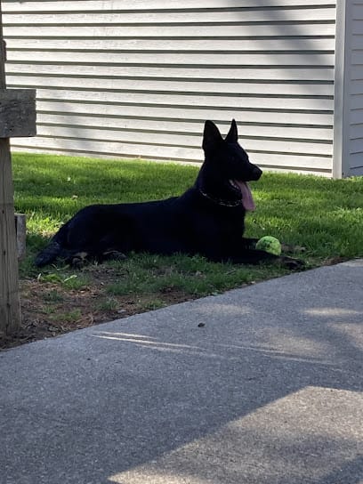 Af1qiposid9gjb01c0xsqdgzw ff1 cyqpl kxmtbcvuw408 h544 k no.jpeg