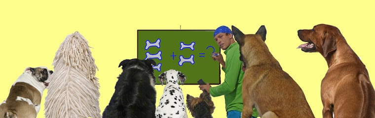 Af1qipp2l3mirpwkrkonra2y3d7rvaiugrun7co7dge9w760 h240 k no.jpeg