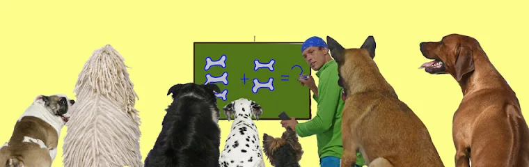 Af1qipp2l3mirpwkrkonra2y3d7rvaiugrun7co7dge9w760 h240 k no.jpeg