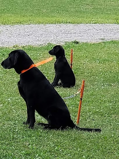 Af1qippe6hmgenidm lhr6kilcct9ddweyzhvgpum0pxw408 h544 k no.jpeg