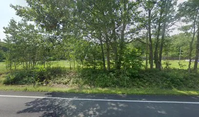 Thumbnail 6.jpeg